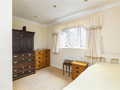 Picture 16